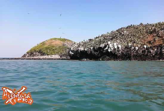 Excursión t Tours En Roca Partida Veracruz Excursión t Tours En Roca Partida Veracruz